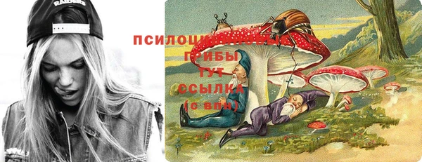 дмт Аркадак