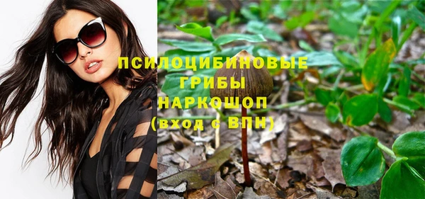 шишки Шадринск
