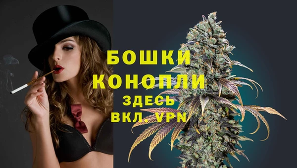 прущий лед Шали
