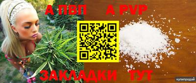 стафф Можайск