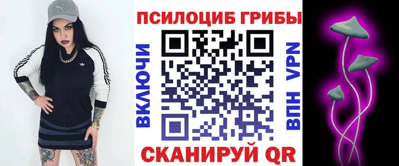 цены наркотик  Ахтубинск  Псилоцибиновые грибы Psilocybe 