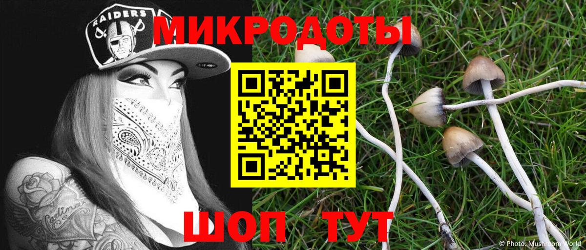 Галлюциногенные грибы MAGIC MUSHROOMS  Ахтубинск  Псилоцибиновые грибы ЛСД 