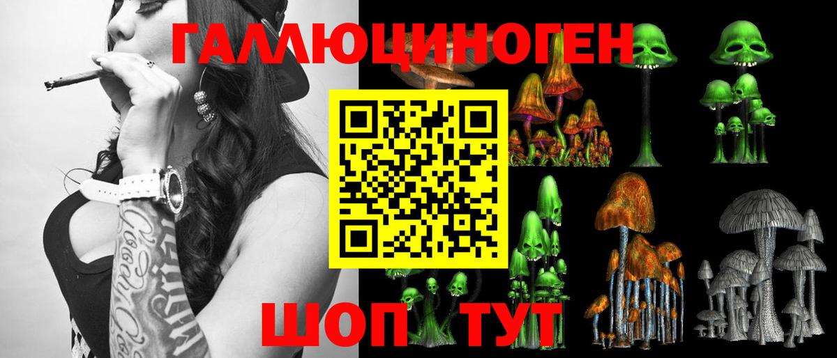 Псилоцибиновые грибы мицелий  Вход с VPN  Ахтубинск 