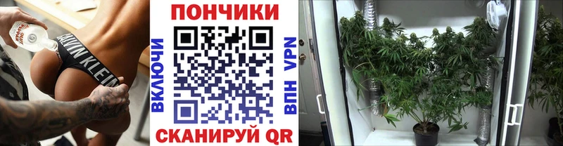 гидра ссылка  Ахтубинск  Каннабис индика 