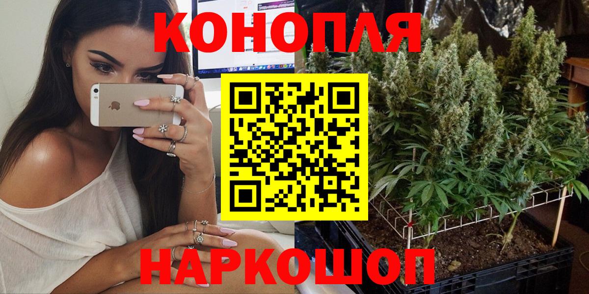 Шишки марихуана планчик  МАРИХУАНА THC 21%  Ахтубинск  Марихуана гибрид  Марихуана сатива 